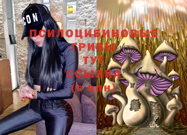 прущие крисы Абаза