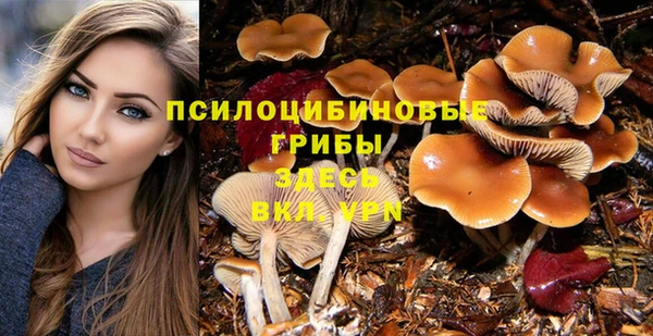 ALPHA PVP Алексин