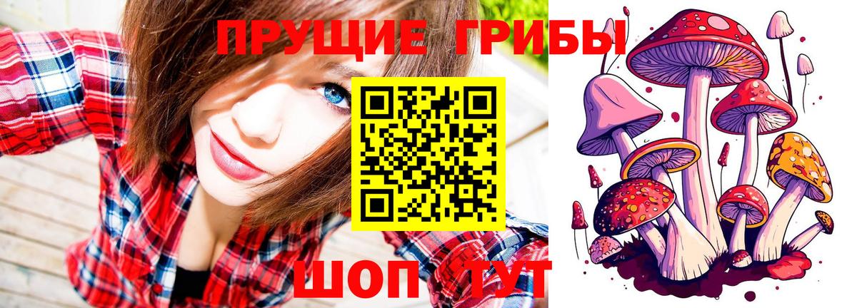 Псилоцибиновые грибы Psilocybe Россошь