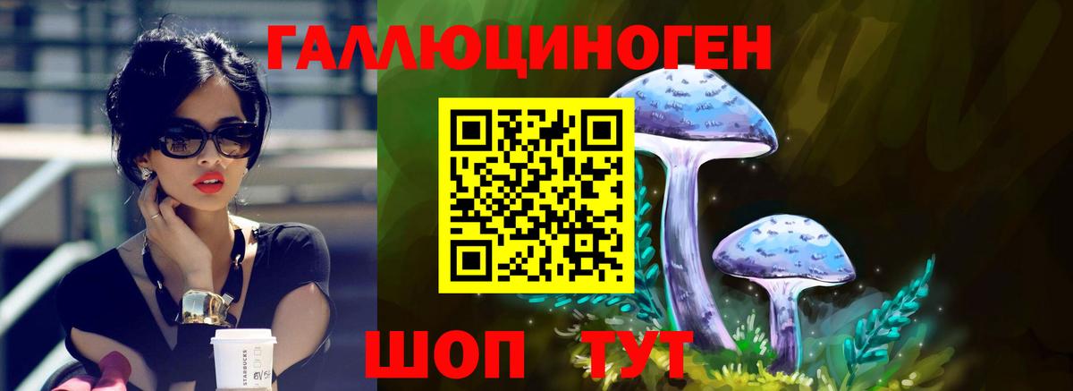 Галлюциногенные грибы MAGIC MUSHROOMS  Вход с VPN  Россошь 